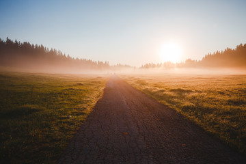 Fantastic misty pasture in the sunlight. Locations place Durmitor National park, Montenegro.