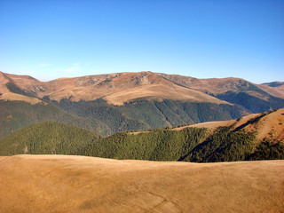 Landscape of forest on the mountain