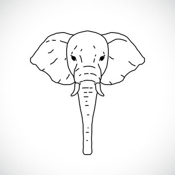 Elephant Head Outline Images – Browse 6,190 Stock Photos, Vectors, and  Video | Adobe Stock