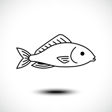 Fish line icon. Vector illustration