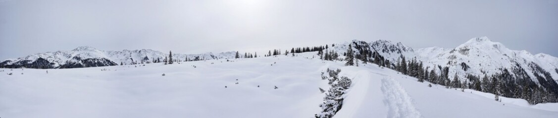 Winterpanorama am Siedljoch