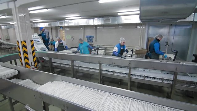 Transporting mechanism is relocating pieces of fish for processing. Sorting fish fillet in plastic containers. Fish factory.