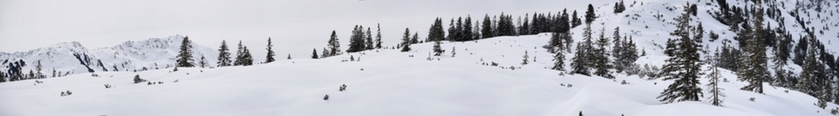 Panorama am Siedljoch