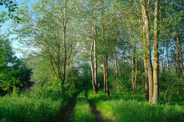 Top view on the desert of Egypt.Rred sea. Aerial view from the plane