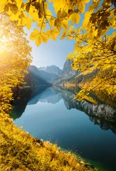 Peel and stick wall murals Honey color Great azure alpine lake Vorderer Gosausee. Location place Gosau valley, Austrian alps.