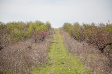 Beautiful blonde woman in pink dress walks through the flowering garden