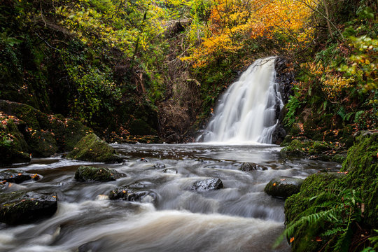 waterfall in forest