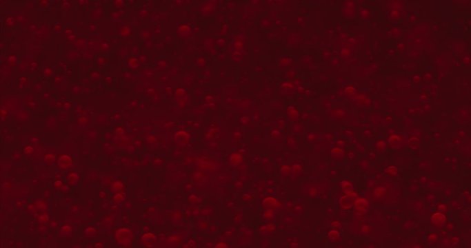 Small red blood cells in fluid