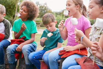 Children On Outdoor Activity Camping Trip Eating Marshmallows Around Camp Fire Together