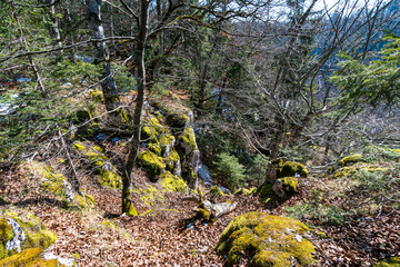 Hike in spring in the beautiful Danube valley