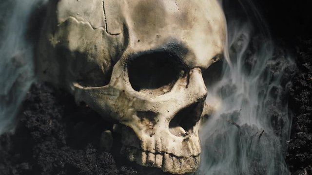 Human skull on the wet soild with smoke flowing
