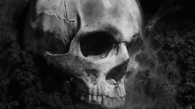 Human skull on the wet soild with smoke flowing