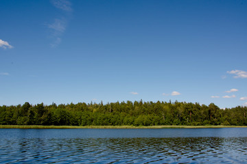 Scenic landscape of forest lake. Lake shore with green trees. Sunny summer day. Blue sky.
