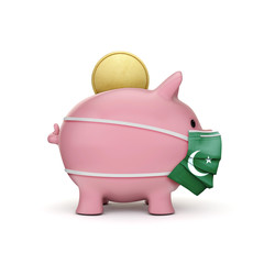 Pakistan healthcare savings. Piggy bank with face mask. 3D Render