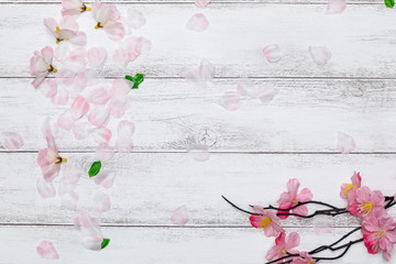 桜の花びらと白板の背景