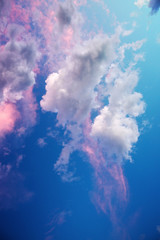 Abstract color of clouds and sky on pink in evening sunshine.