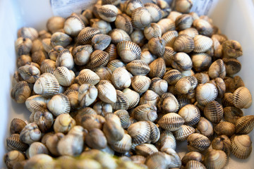 Cajas con almejas, mariscos del norte de España