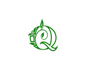 Letter Q Logo. Q Letter Design Vector with Green Color and Floral Hand Drawn Green Leaves.