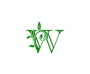 Letter W Logo. W Letter Design Vector with Green Color and Floral Hand Drawn Green Leaves.