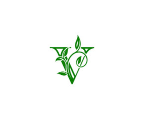 Letter V Logo. V Letter Design Vector with Green Color and Floral Hand Drawn Green Leaves.