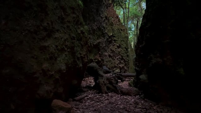 4k Aventura al aire libre Caminos ins&oacute;litos 5 Bosques Gran Canaria