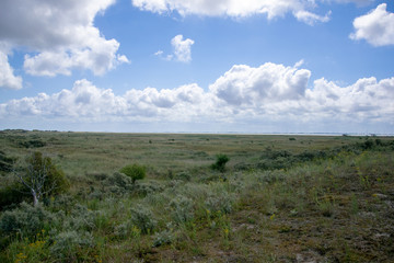Fototapeta premium unendliche Weiten in Langeoog
