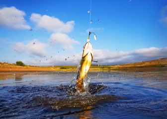 Big Bass Large mouth - Fishing