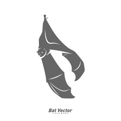 Bat logo vector template. Silhouette of bat design illustration
