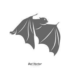 Bat logo vector template. Silhouette of bat design illustration