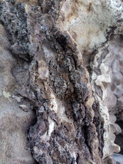 The texture of the slag