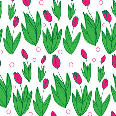 Fototapeta na wymiar Sketch lines of flowering tulips in the garden.