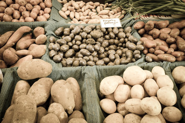 Fototapeta na wymiar Green garlic bunch and potatoes, sweet potatoes, onion at farmer market stand in Puyallup, WA