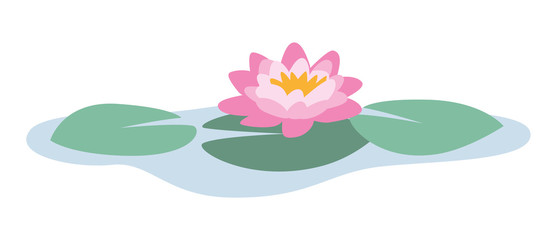 isolated vector illustration of a beautiful pink and yellow water lily on green water lily leaves on blue water