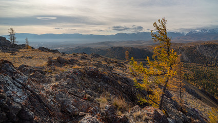 Autumn mountains and autumn trees