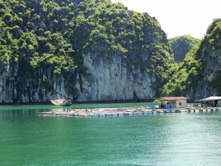 Pearl farm in Halong Bay Vietnam