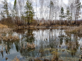 Beautiful lake in the early spring forest with reflection trees and blue sky on the water surface.