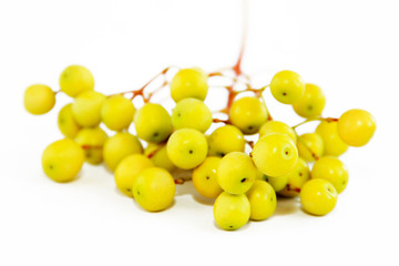 yellow round natural small berries on a white background