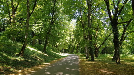 Vezelay en Bourgogne