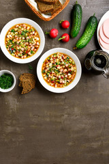 Cold russian soup Okroshka
