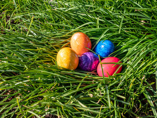 Ostereier im Gras im Frühling