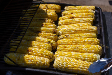 corn on a barbecue BBQ preparation for a summer picnic in Canada