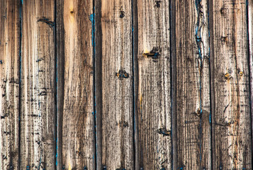 Old wooden boards on the fence