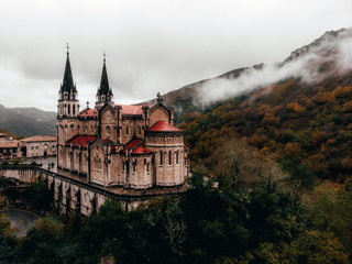 Aerial shot of european cathedral in misty forest in autumn