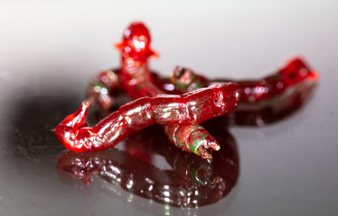 Red bloodworm worms isolated on a black background