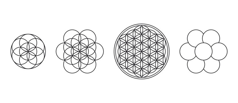 Flower of Life, Seed and Egg of Life. Geometric figures, spiritual symbols and sacred geometry. Circles forming symmetrical flower-like patterns. Illustration over white. Vector.