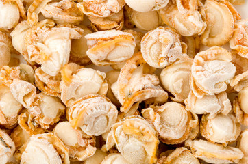 冷凍のベビーホタテ