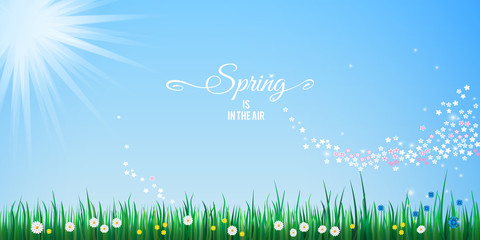 Obraz premium Hello Spring tender blue background with sparkling stream from sakura flowers. Abstract spring banner design with green grass border, blue sky and bright sun shining. Vector illustration