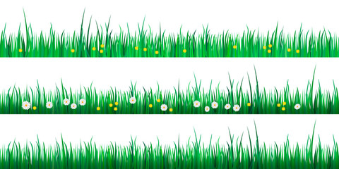Set of green grass borders isolated on white background. Vector illustration for spring or summer design. Decoration for Easter greeting card or banner