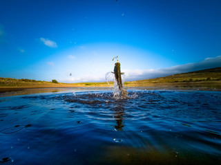 Bass Fishing on lake
