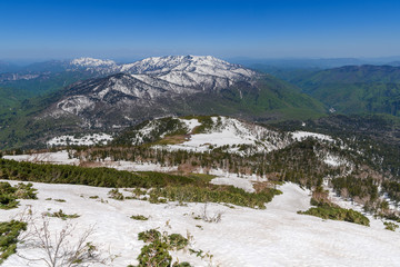 春の会津駒ヶ岳と熊沢田代